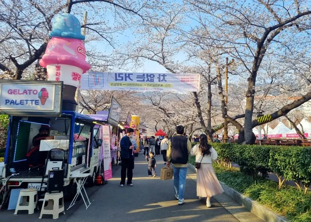 韩国【昌原】及周边超全游玩项目比价指南