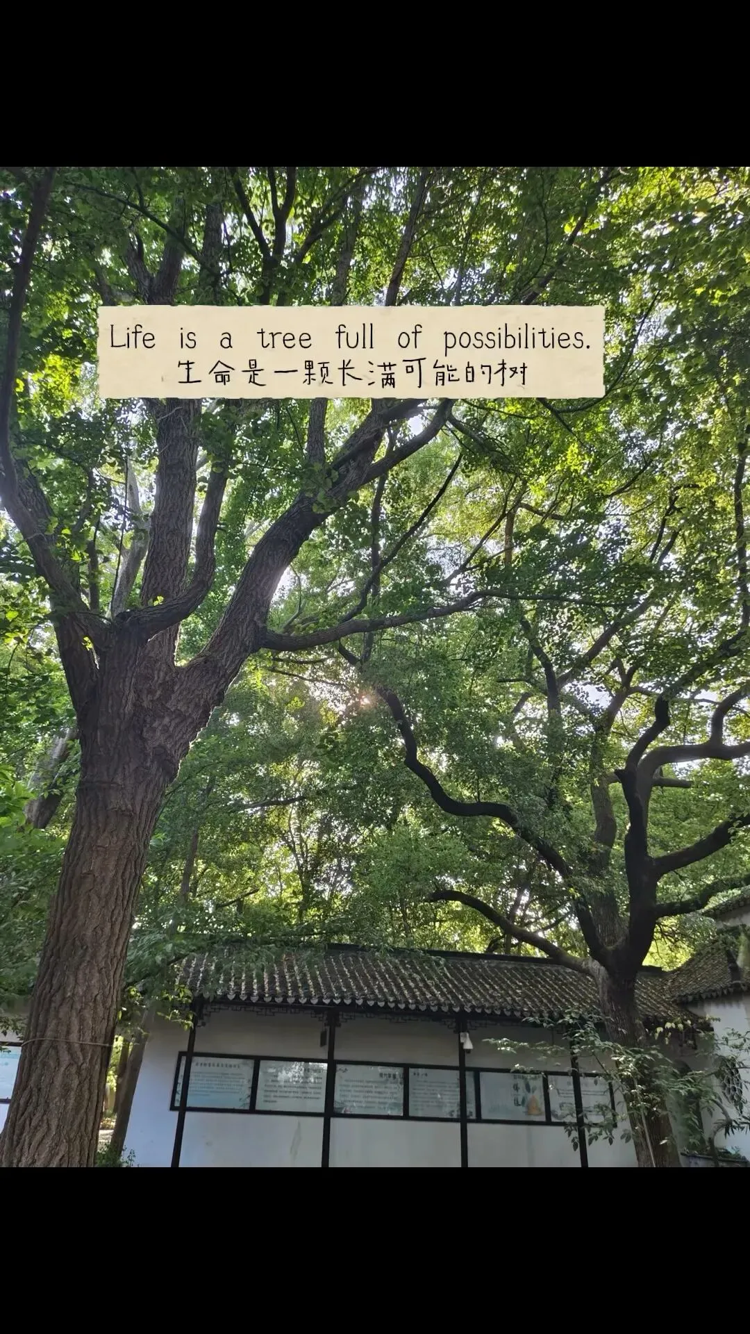 个人旅行攻略