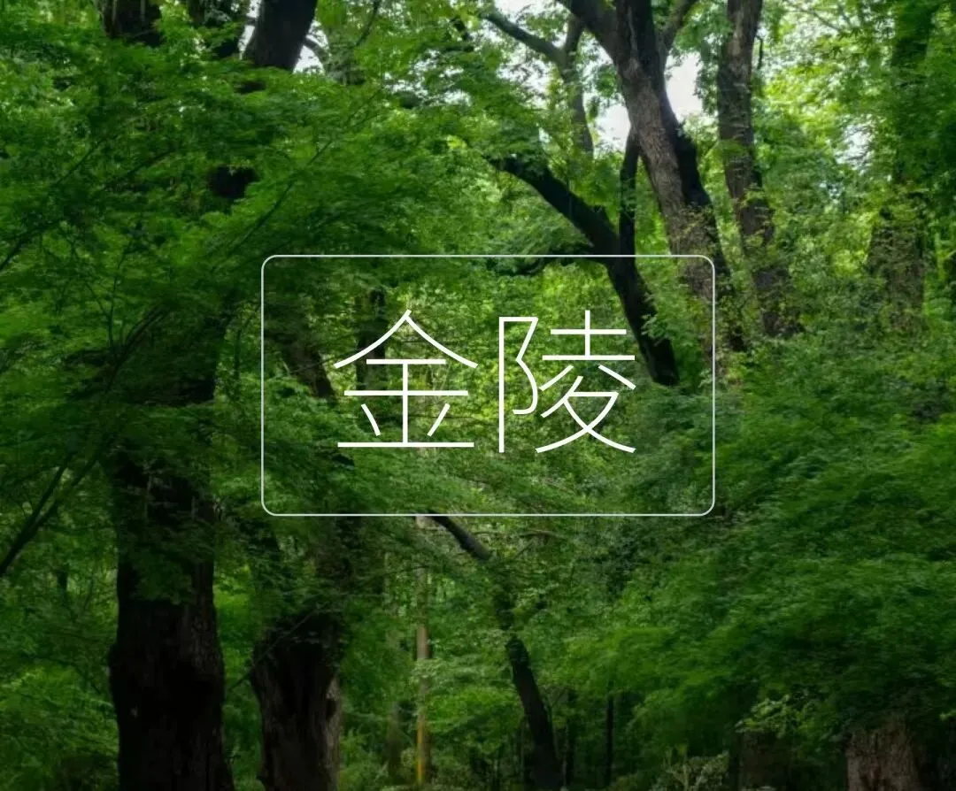全新金陵漫游指南,专治旅行浮躁
