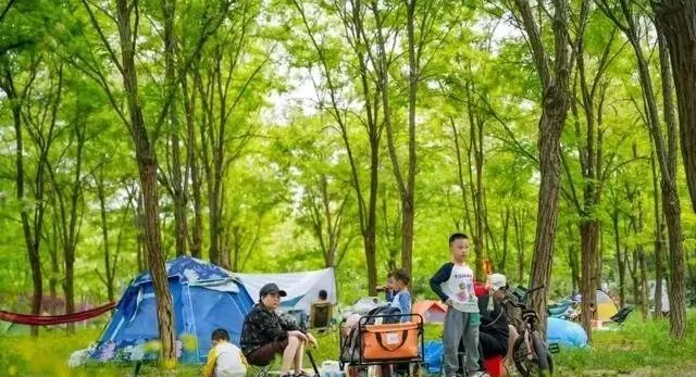 毕业旅游第一站,我们丰台见!六条主题线路玩转——