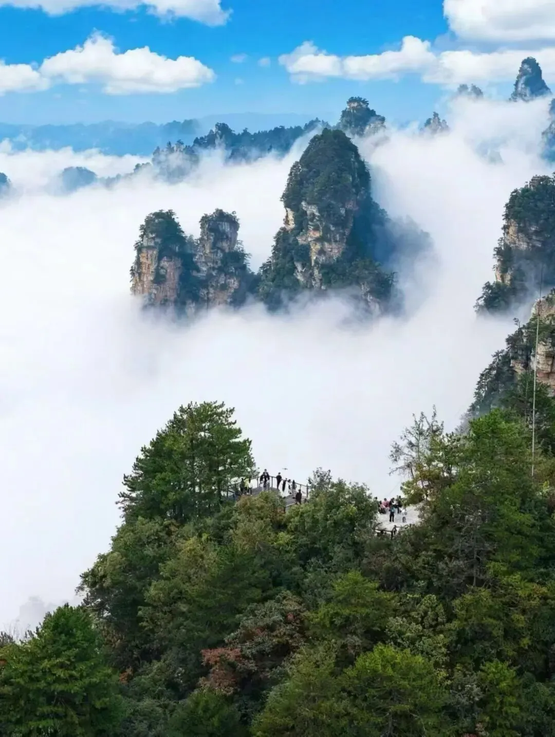 2026 张家界旅游避坑:公司团建旅游方案 商务考察接待 私人定制全
