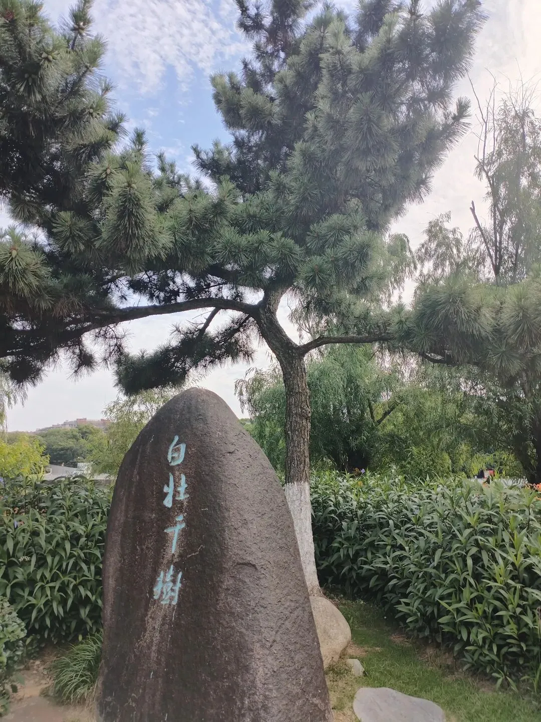 旅游做攻略的人后悔了?不做攻略的人也后悔了?这篇文章帮你治好纠结!