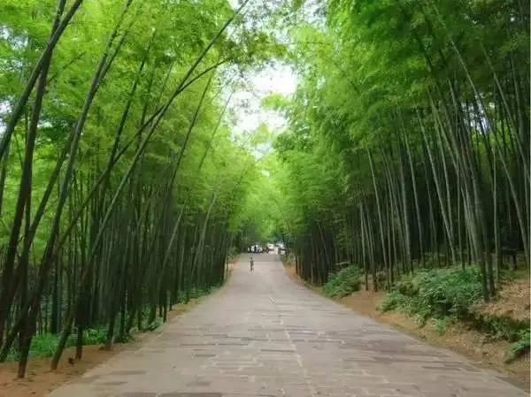 宜宾旅游攻略 | 超详细攻略带你玩转"万里长江第一城"
