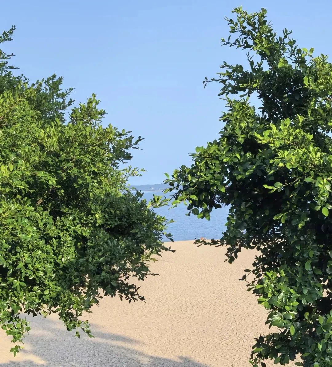 山境物集|老派旅行:不做攻略的厦门,才是前辈记忆里的厦门