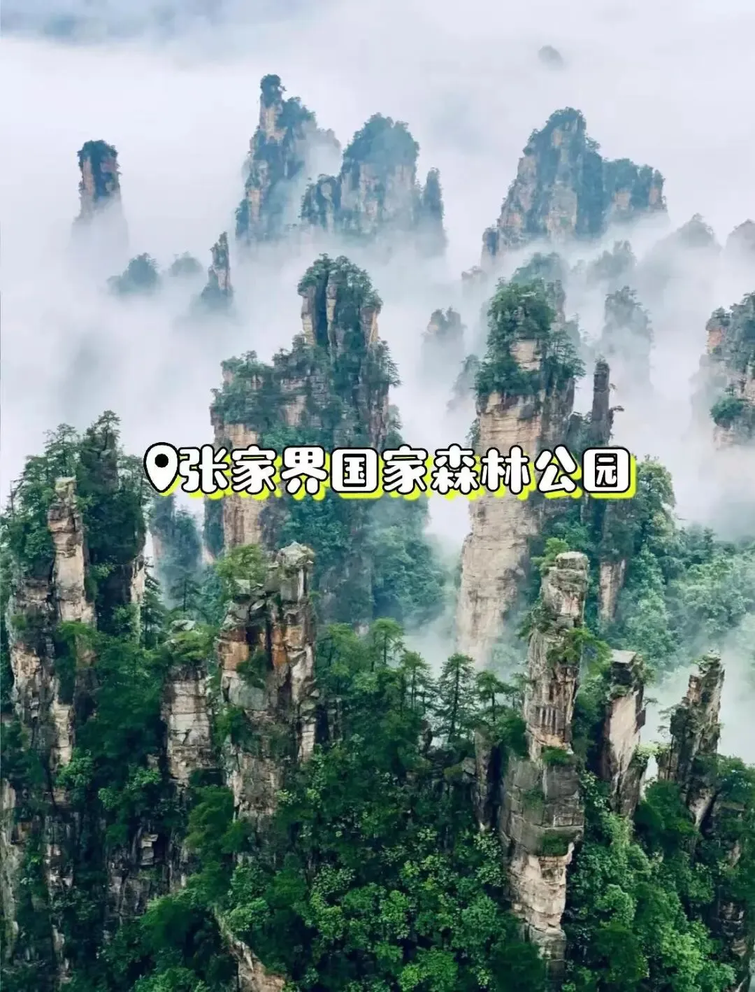 张家界5天4晚超全旅行攻略|新手零翻车松弛畅游湘西山水秘境