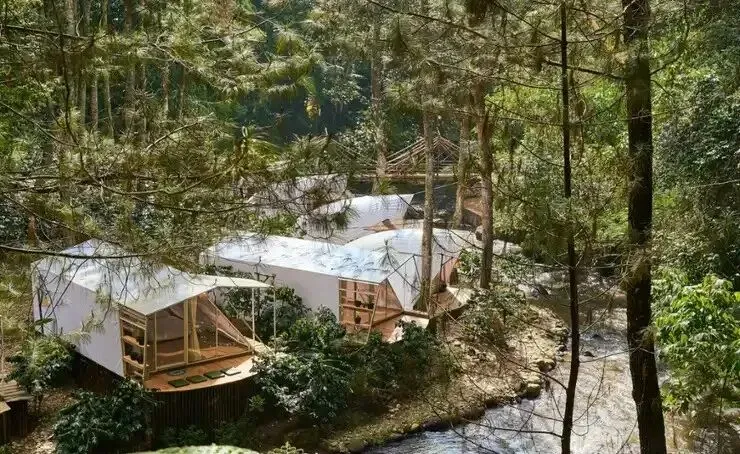 旅行指南 |想躲进万隆清凉的山林里深呼吸?这8处绝美露营地,等你来体验