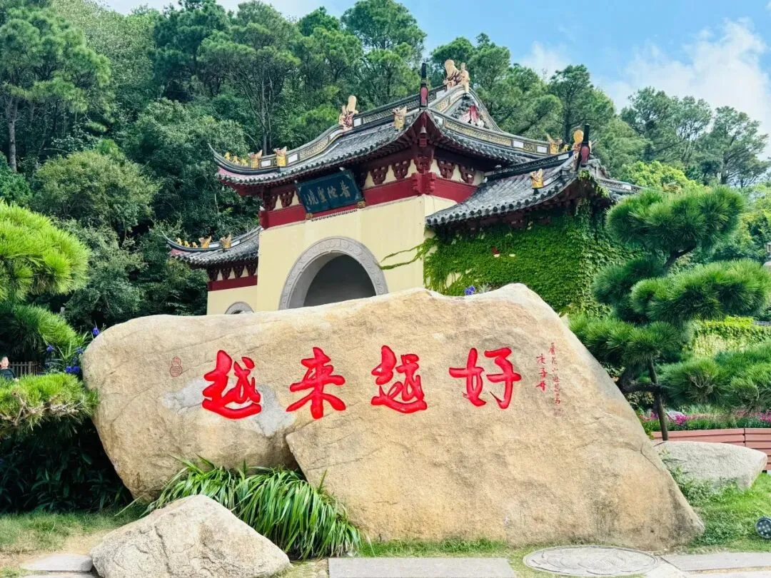 2026舟山普陀山旅游避坑省心指南 杭州盛都旅行社龙导带你体验高品质浙江全域品质游 浙江社推荐 纯玩团品质游杭州社推荐