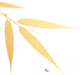 端午走起!雷州古城一站式游玩指南,建议收藏~