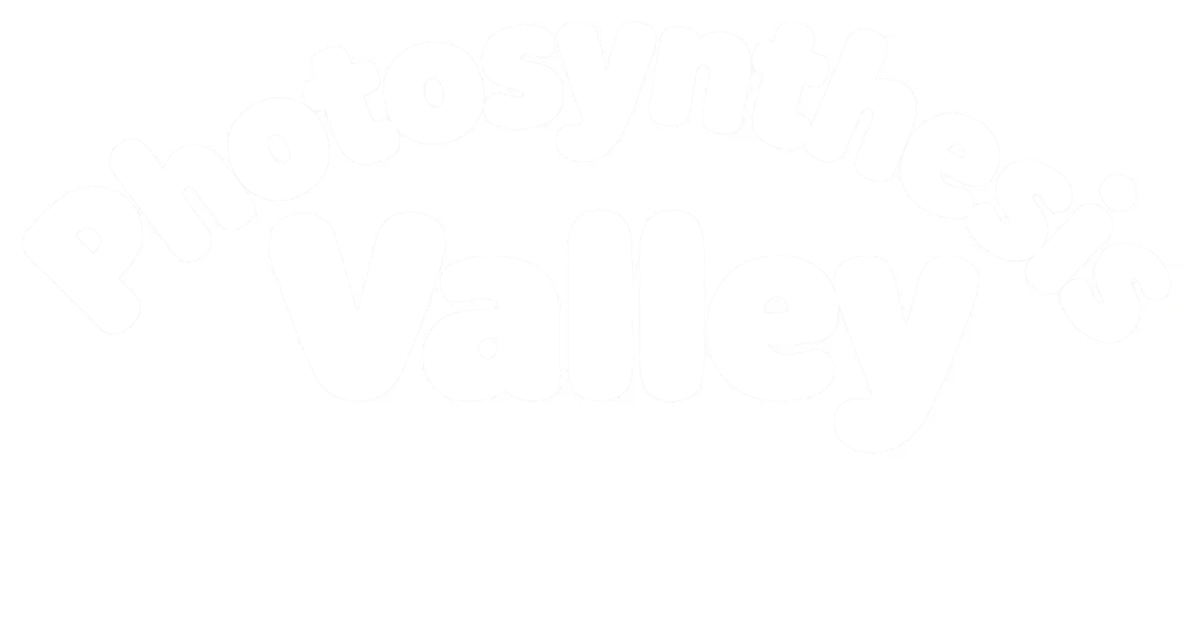 端午“粽”么闹?光合谷清凉游玩全攻略!