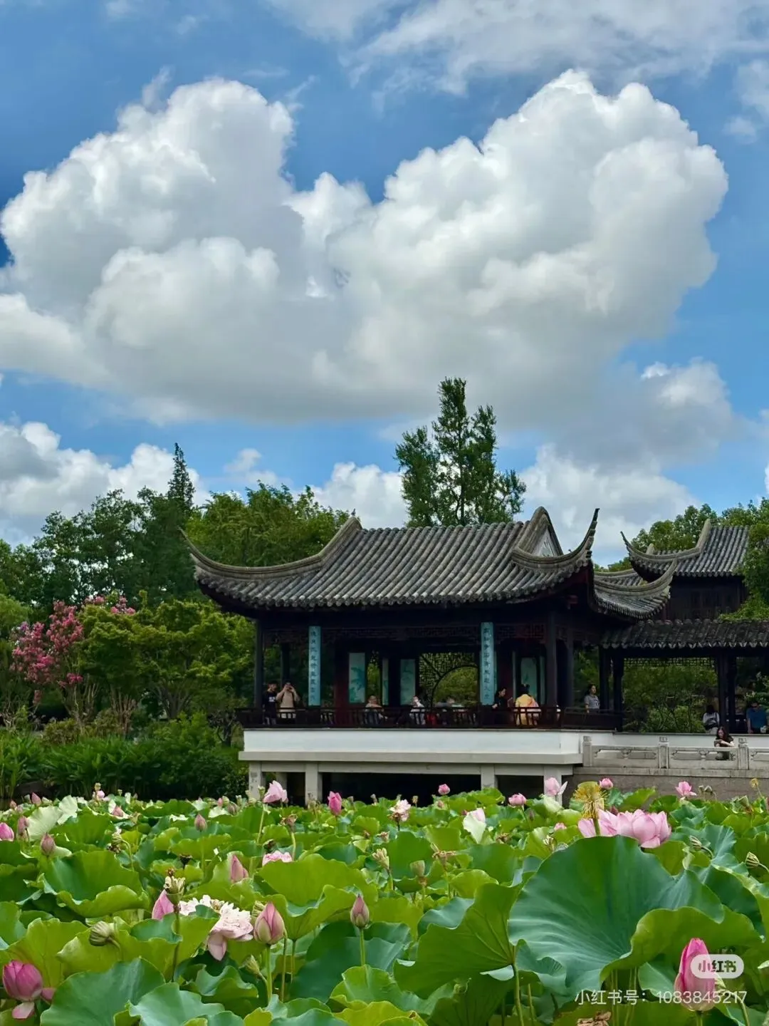 奔赴姑苏!2天1晚苏州完整版游玩指南|园林·古镇·美食全收录