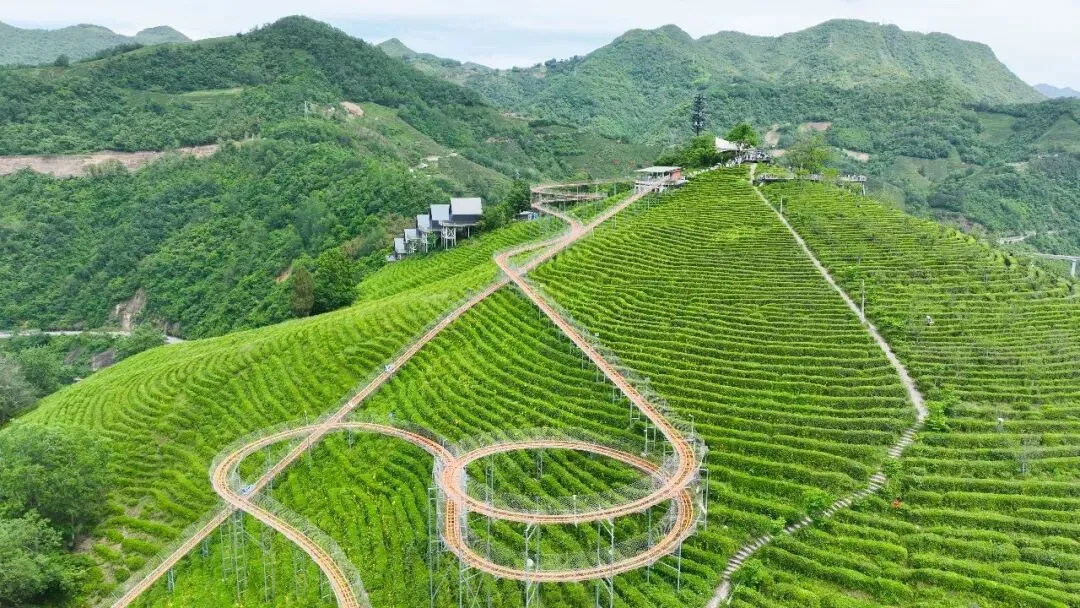 端午假期西乡旅游超全攻略