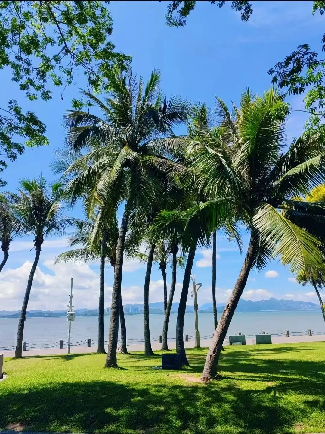 广东·深圳美食景点旅行攻略