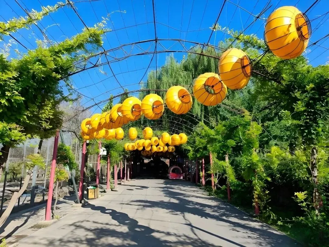 顺义区河北村乡村旅游线路攻略