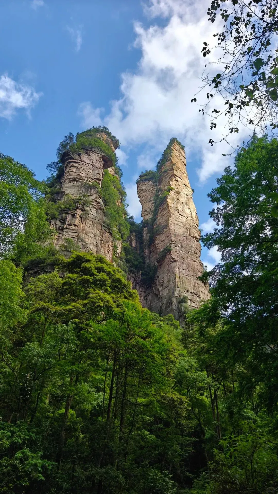 张家界旅游攻略三日游自由行路线:这份保姆级省钱攻略必看!