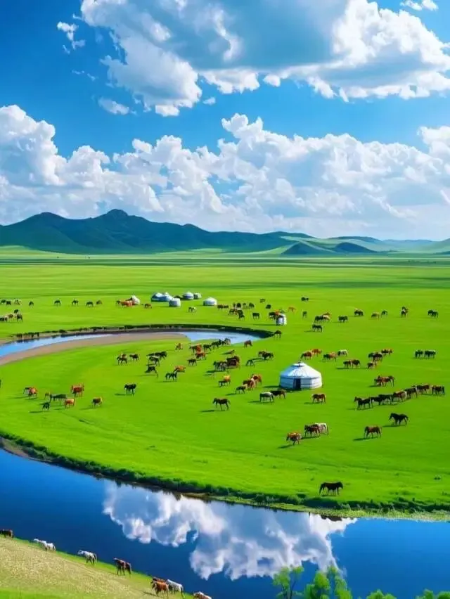 内蒙古呼伦贝尔旅游攻略|6月草原季开了,这才是全年最值得去的时间
