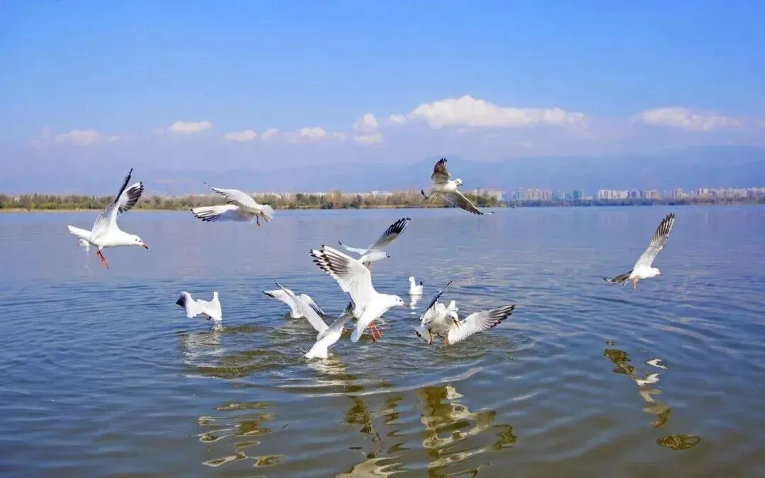 西昌旅游全攻略|阳光、湖海、古城与烟火,承包你的完美假期