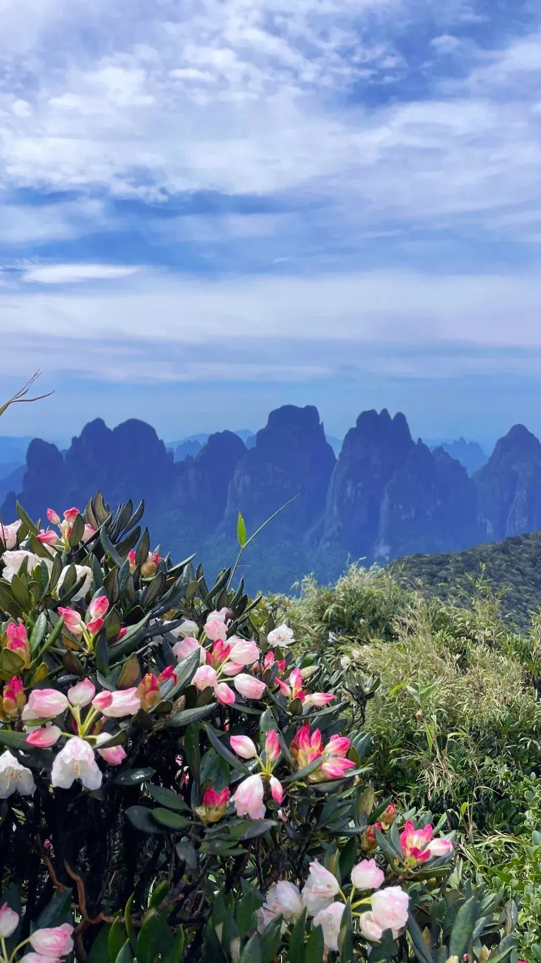 2026广西旅游转团的法律风险与合规指南:自由行转跟团的注意事项