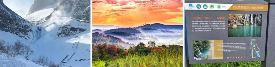 长白山二道白河旅行攻略:第一次去别只盯天池,瀑布、谷底森林和温泉可以这样安排