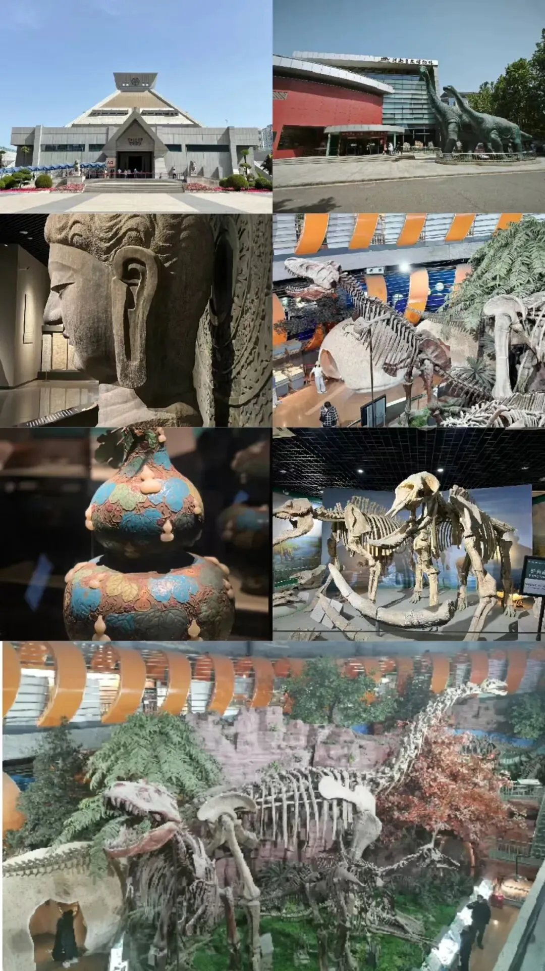 7 月旅游目的地推荐!郑州暑假旅游攻略,错峰高性价比适配亲子毕业生
