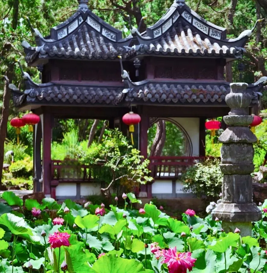 上海青浦水乡游玩攻略