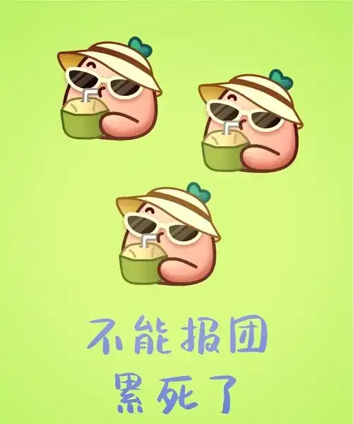 说走就走的旅行第七天开始后悔,攻略越厚行程越满,最后两天连酒店门都不想迈出去