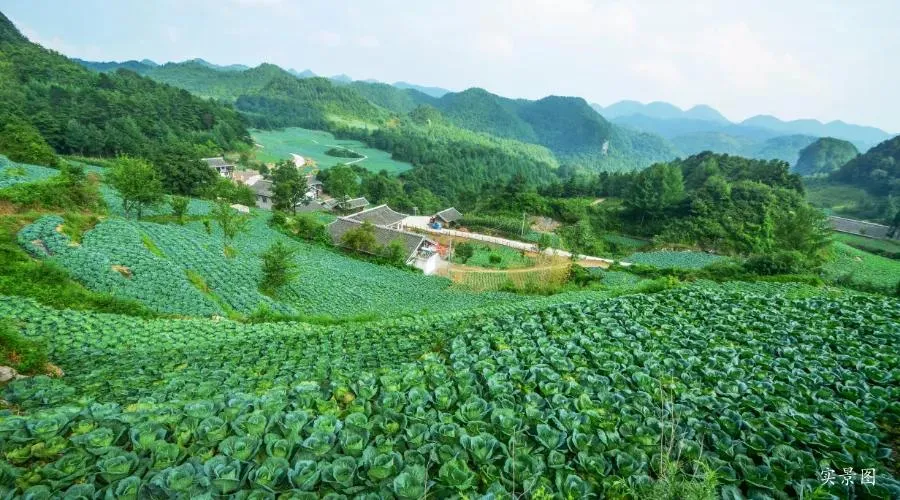 曾家山旅游攻略 两天一夜23度避暑 蜀道亚高原康养秘境
