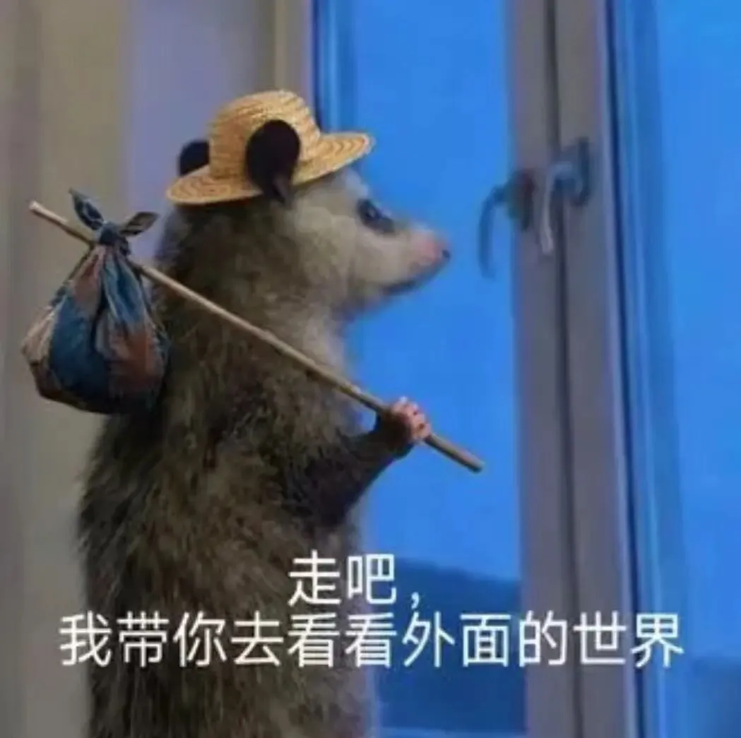 整理的一些旅行邪修攻略