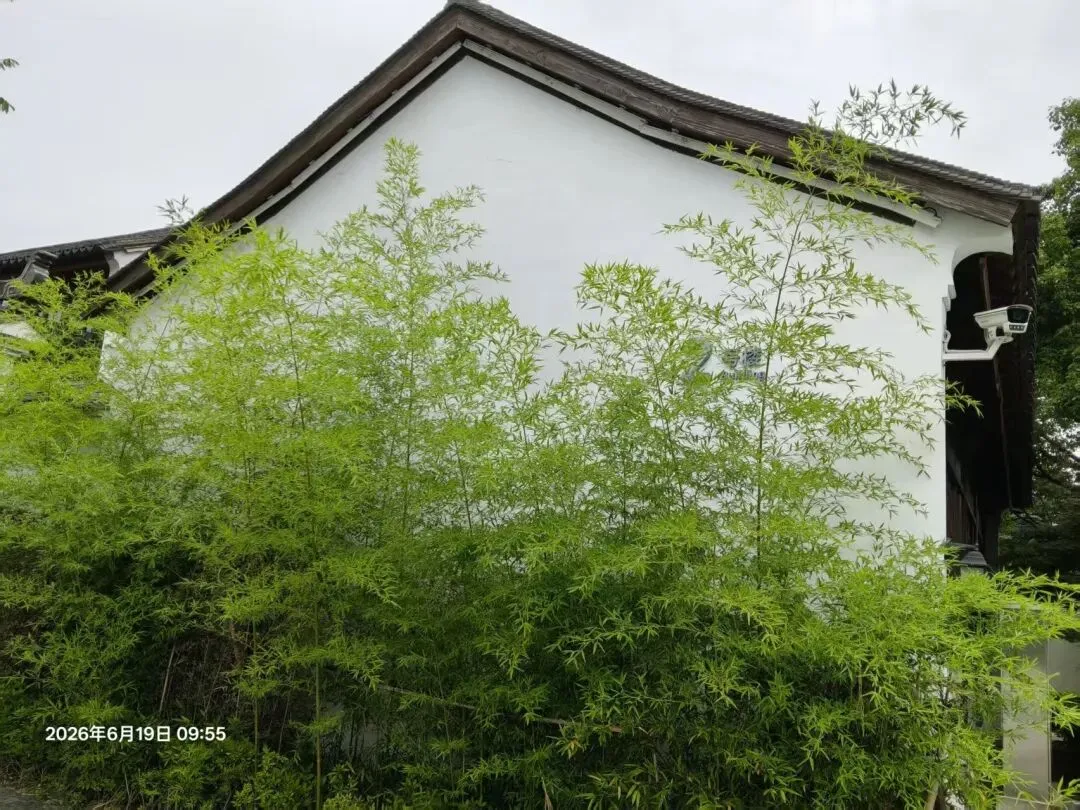 下关历史背景及核心旅游攻略