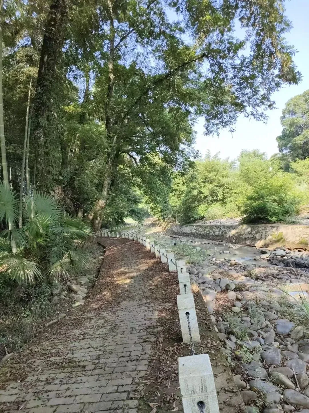 被网红攻略骗惨!这场空荡古村之行,藏着旅行最真的温柔