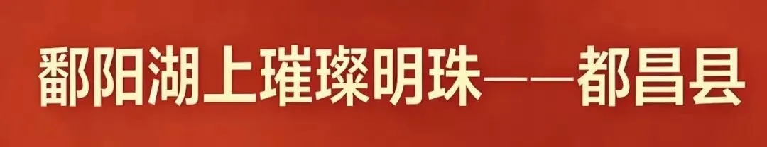 速看!旅游不踩坑,这份《旅游避“坑”指南》请收好!