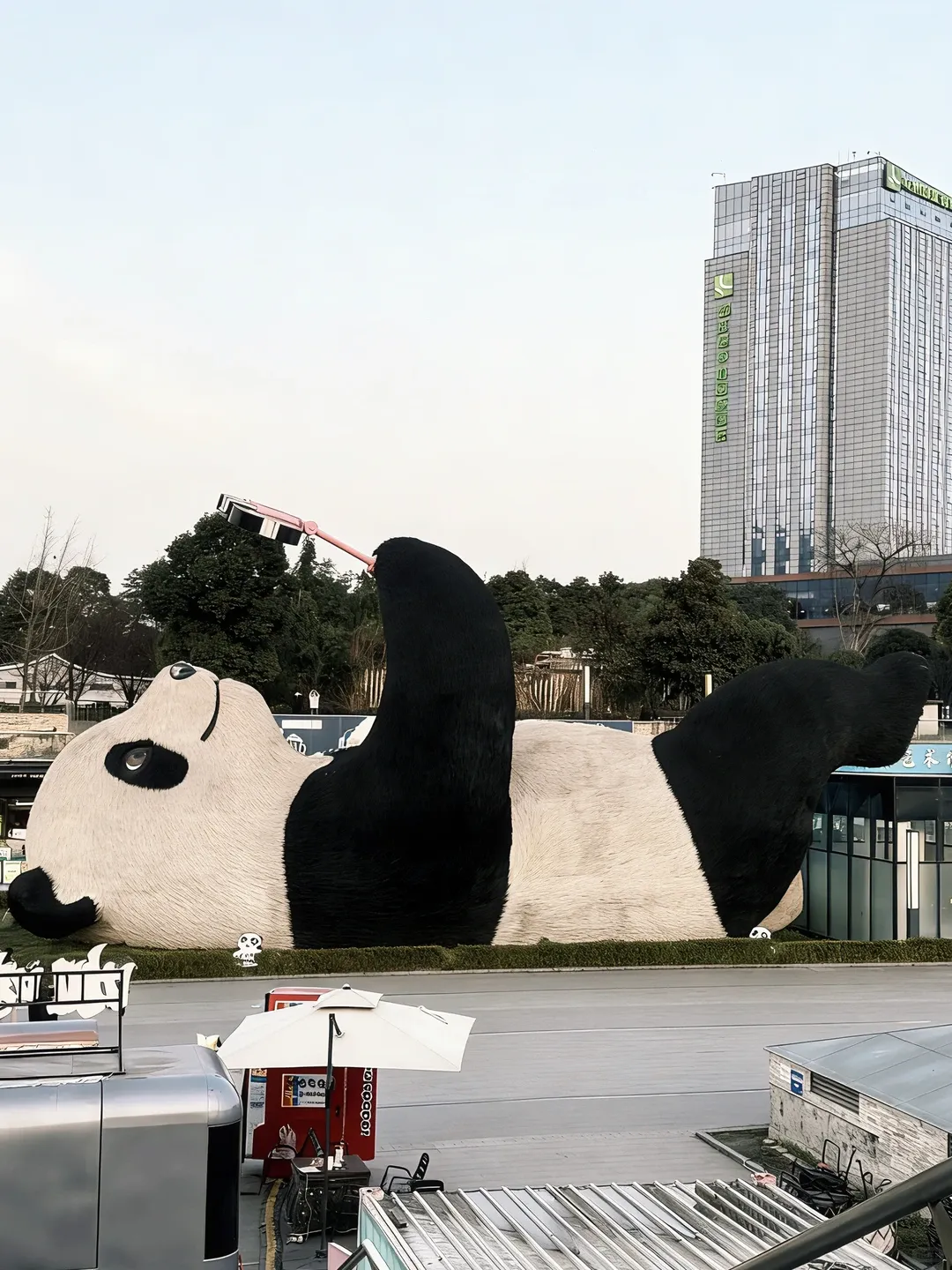 成都5天4晚毕业旅行攻略|学生党人均1500元,熊猫看到爽!