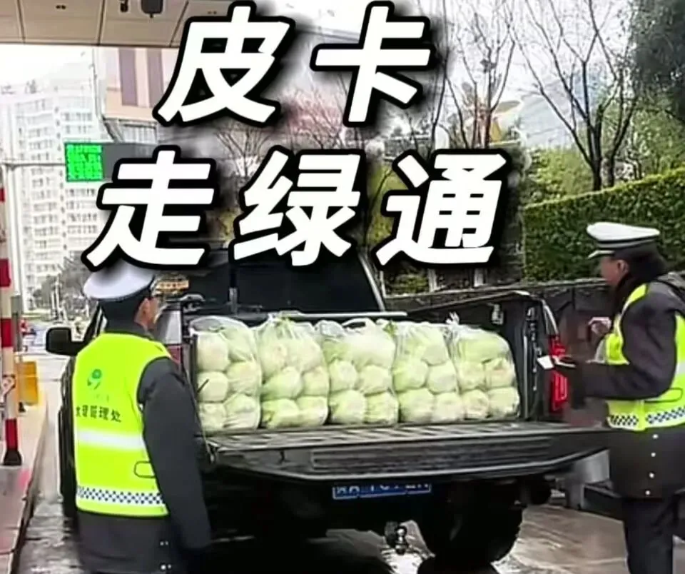 皮卡拉白菜走绿通,省钱可以,但别把政策当旅行攻略