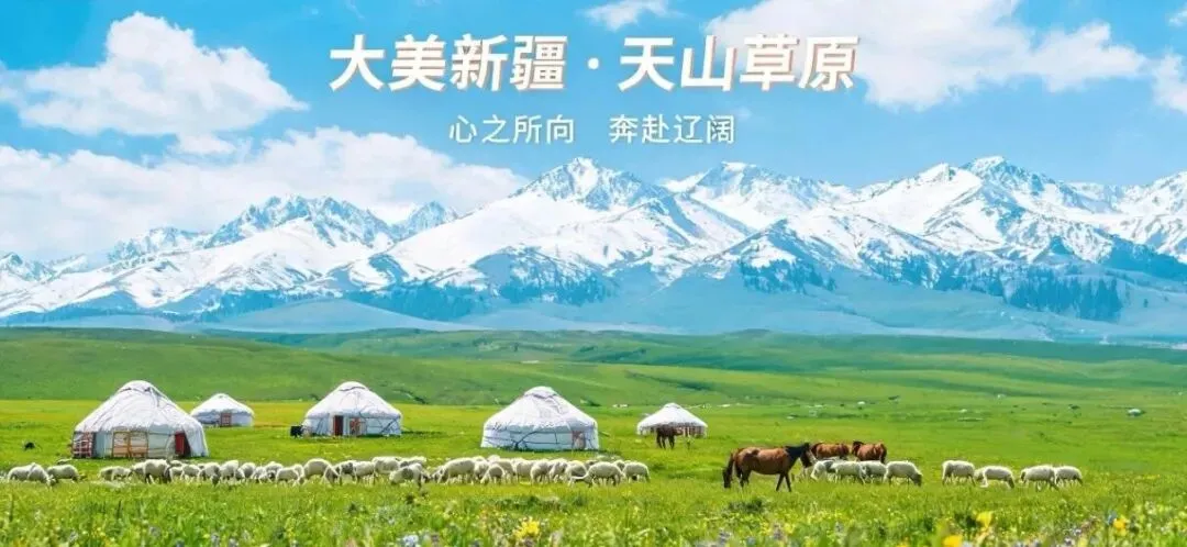 新疆旅游最值钱的东西,还没写进攻略里