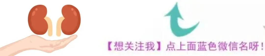 透析后还能正常工作与旅行吗?——肾友回归生活指南