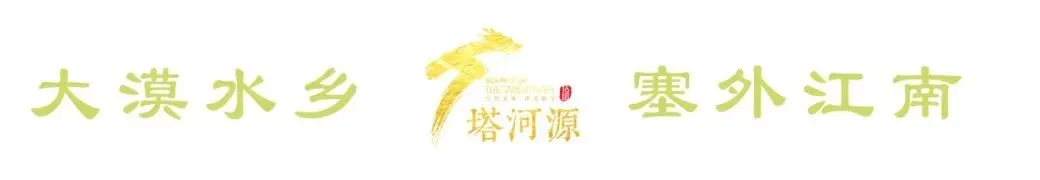 【荷花文化旅游活动】2026年十六团新开岭镇第九届塔河源荷花文化活动7月10日就要来啦!快快收藏这份游览全!