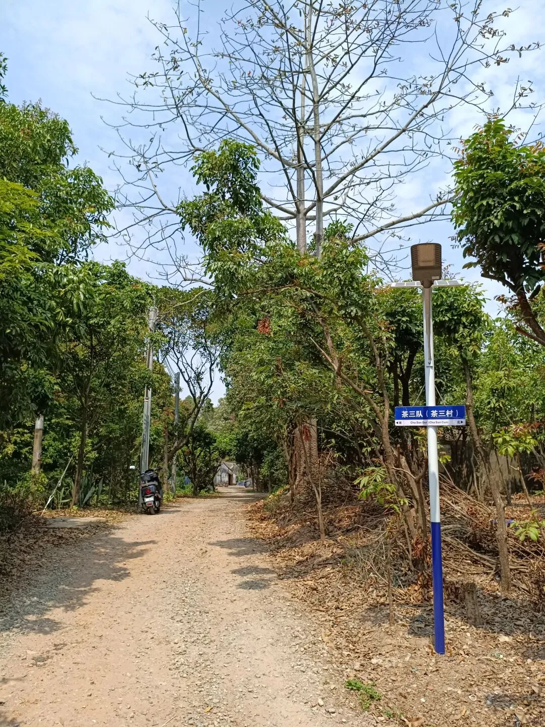 茶三队旅游攻略