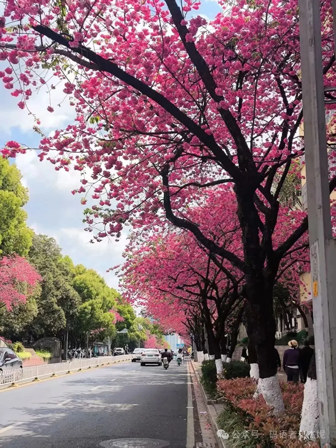 云南最全旅游攻略|交通住宿避雷全搞定,照着走就行!