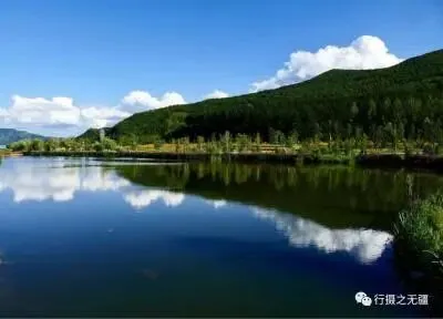 钓鱼台湿地公园全攻略|坝上小众生态秘境,避暑研学一站式游玩