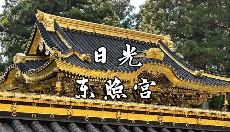 所有去东京旅游的攻略都在推荐镰仓,其实只需两小时车程的日光,才是美到窒息的秘境.
