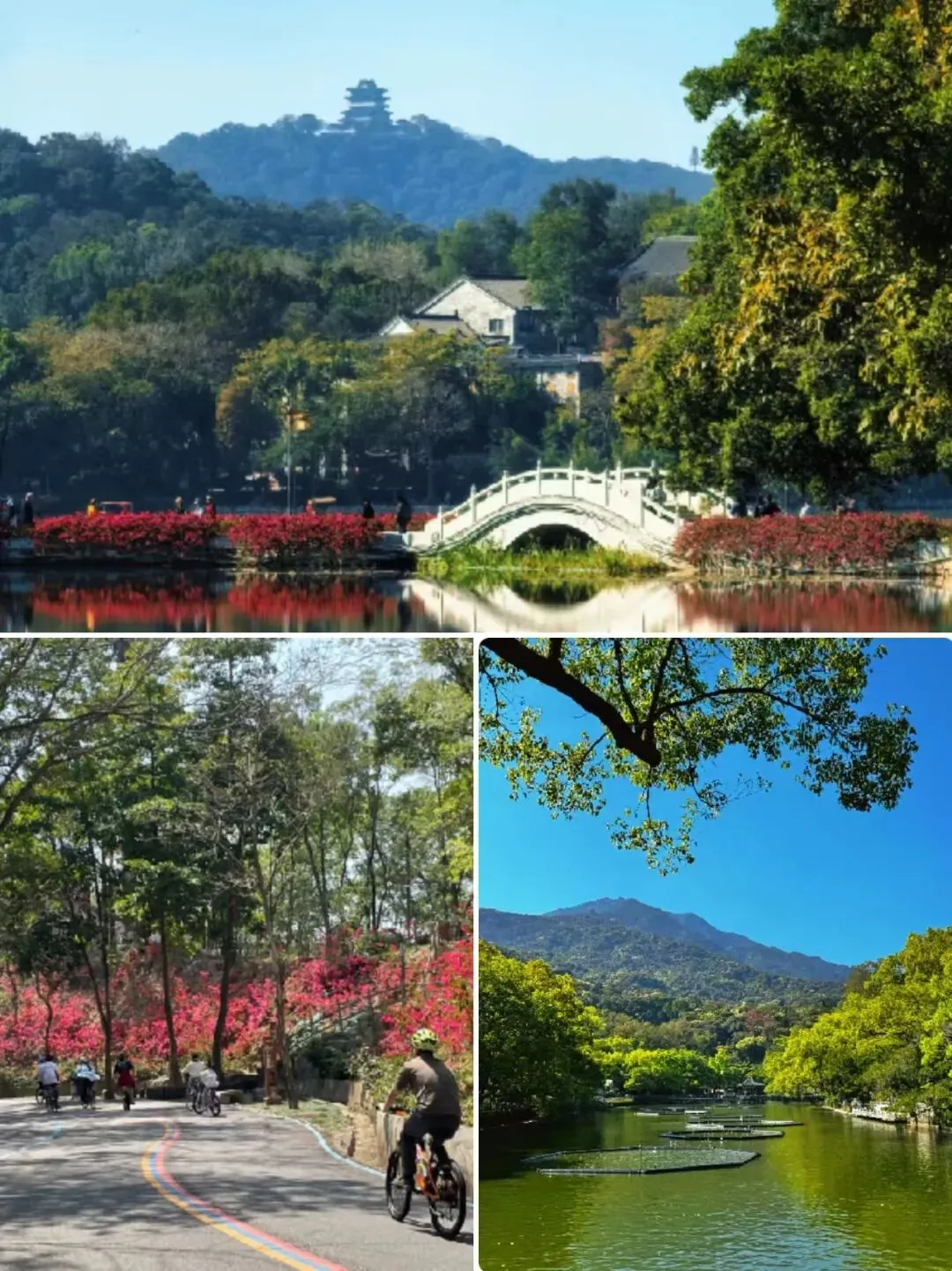 暑假别挤三亚!惠州山海清凉游玩攻略