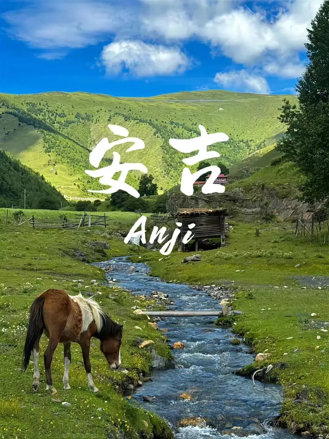 暑假游玩安吉攻略|亲子游暑假出游首选!解锁竹海清凉遛娃之旅