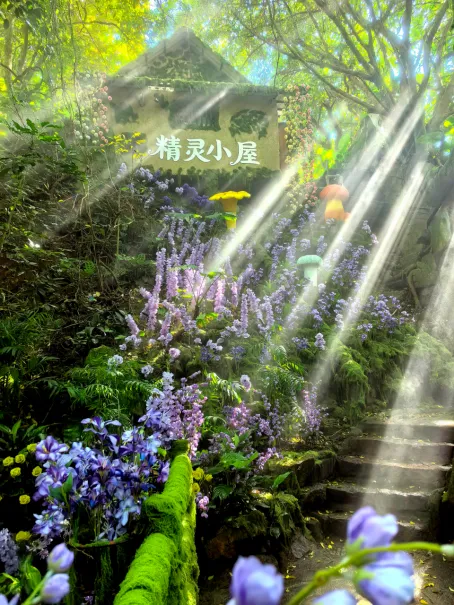 建议收藏!南山暑期旅游活动全攻略来了