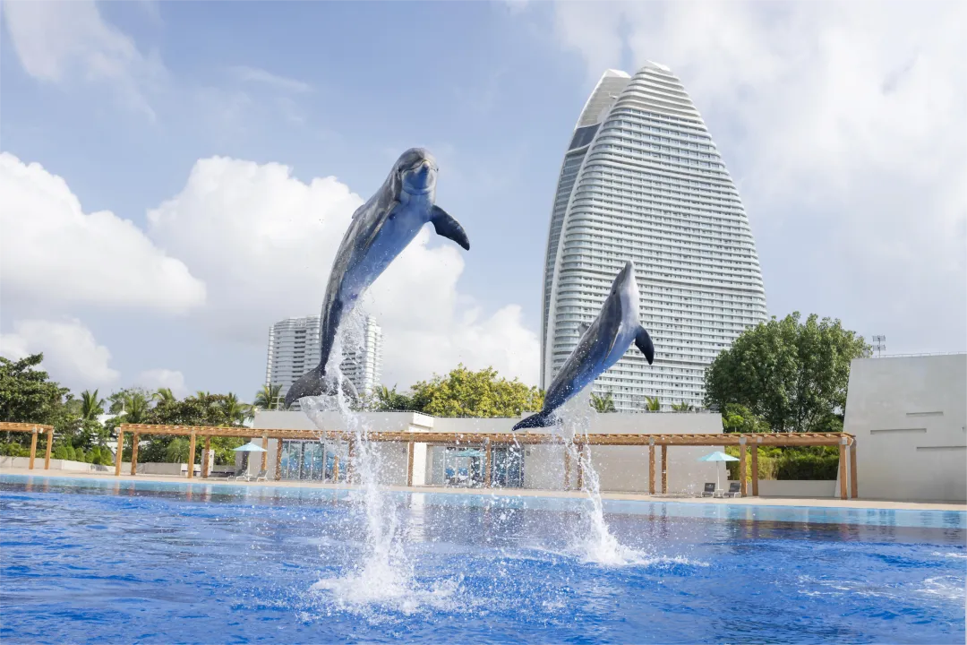 毕业旅行选社指南,2026年7月4人海南行真实记录