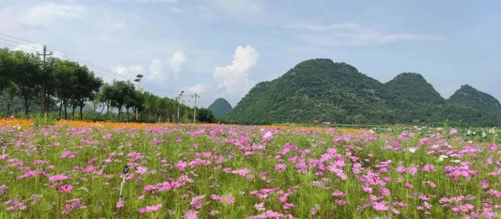 七彩云南旅游指南
