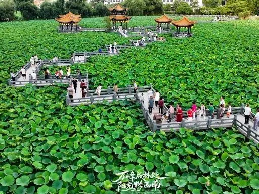 安龙全域旅游完整攻略|南明皇都、十里荷海、地下溶洞,人文山水一站式打卡