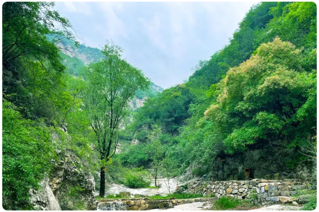 河津暑期游玩打卡攻略