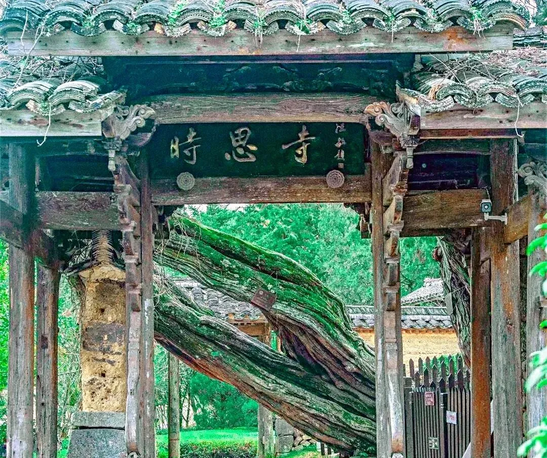 丽水景宁乡村旅游攻略