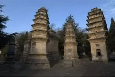 实测不踩坑!2026河南牡丹节旅游攻略,十大正规旅行社真实测评