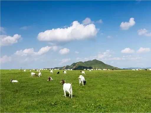 兴仁全域旅游全攻略|中国薏仁米之乡,草原湖寨藏尽苗布依风情