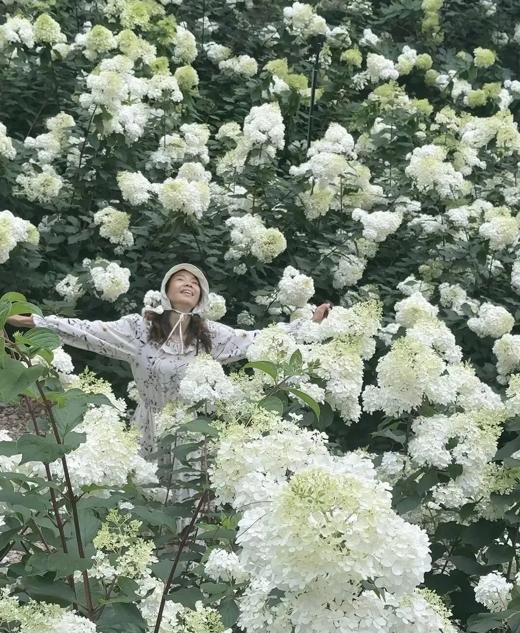 贵州梅园完整游玩攻略|夏日邂逅千亩绣球花海,自驾游玩照着走